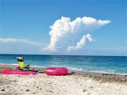 Praia das Tartarugas